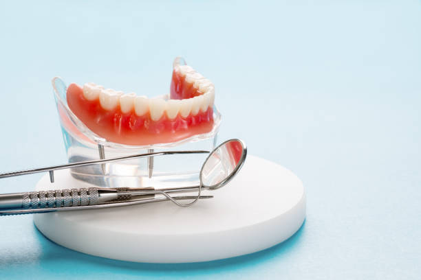 Professional  Holistic Dental Services in Greenfield, MO